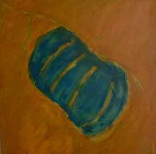 Pod II